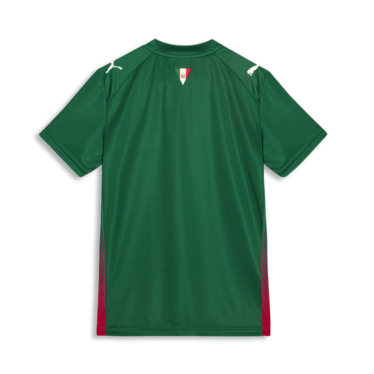 Camisa Palmeiras Puma I 26/27 Torcedor Infantil