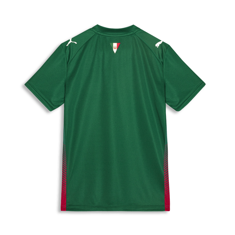 Camisa Palmeiras Puma I 26/27 Torcedor